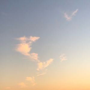 Meet your Posher, Kerin